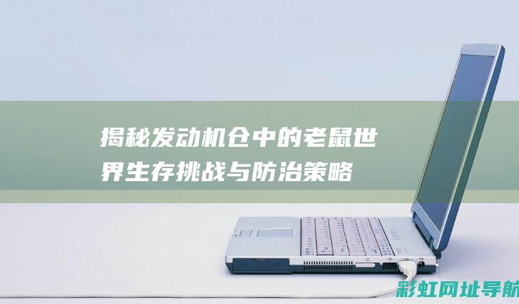 揭秘发动机仓中的老鼠世界：生存挑战与防治策略 (发动机仓怎么介绍)