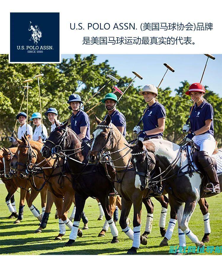 揭秘polo 1.4发动机：性能、技术与特点 (揭秘polo的隐藏功能大全)